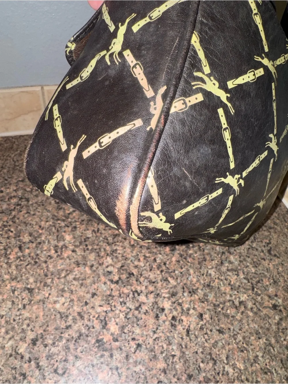 Longchamp authentic vintage equestrian Crossbody camera bag (collectors piece)